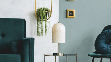 Evlerde Modern ve Sıradışı Renk Kombinleri